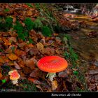 Rincones de Otoño III