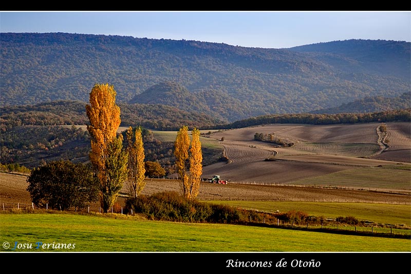 Rincones de Otoño IV