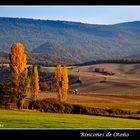 Rincones de Otoño IV