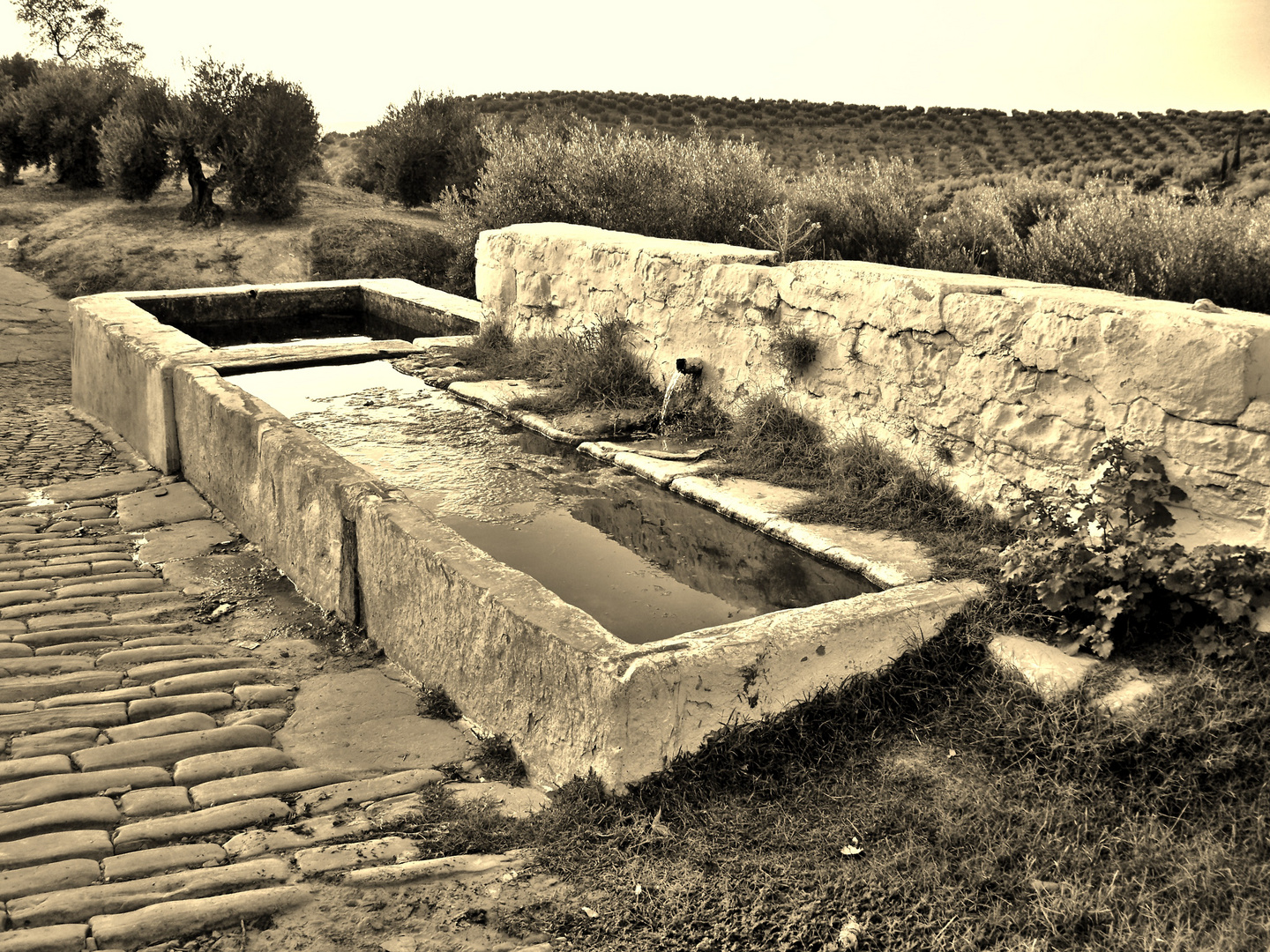 Rincones de Porcuna(Jaén)