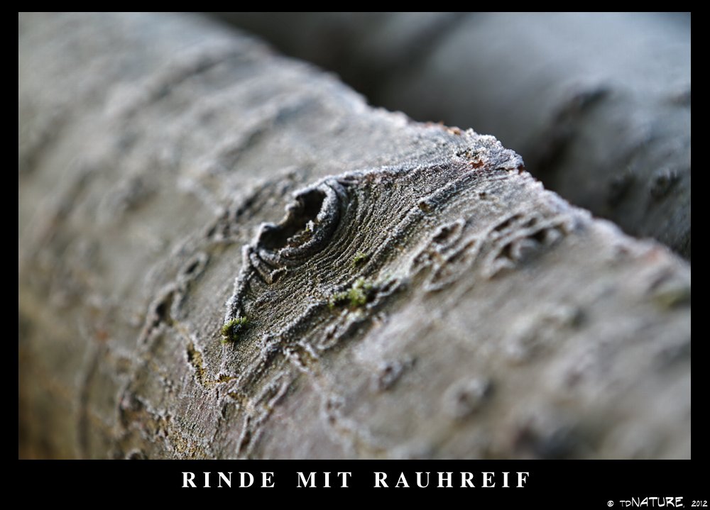 Rinde im Rauhreif