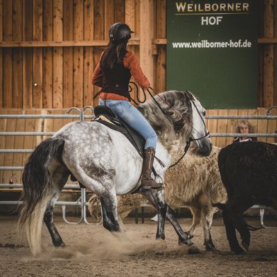 Rinderkurs auf der Messe "Find the Flow"