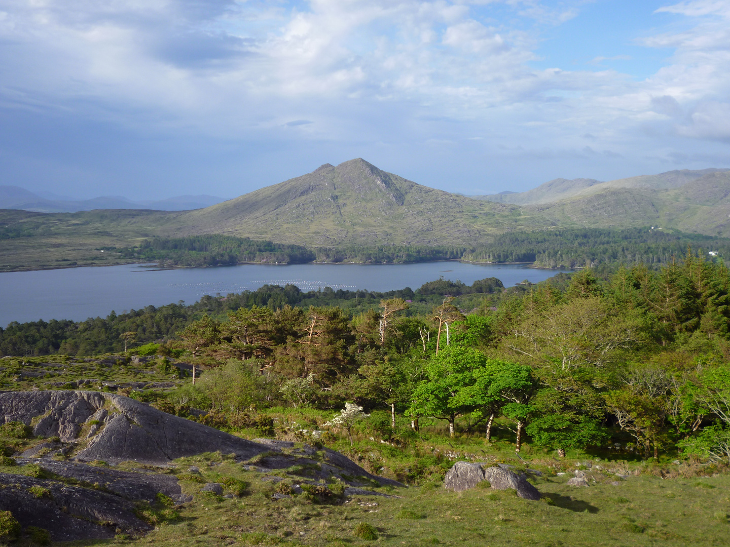 Ring of Beara