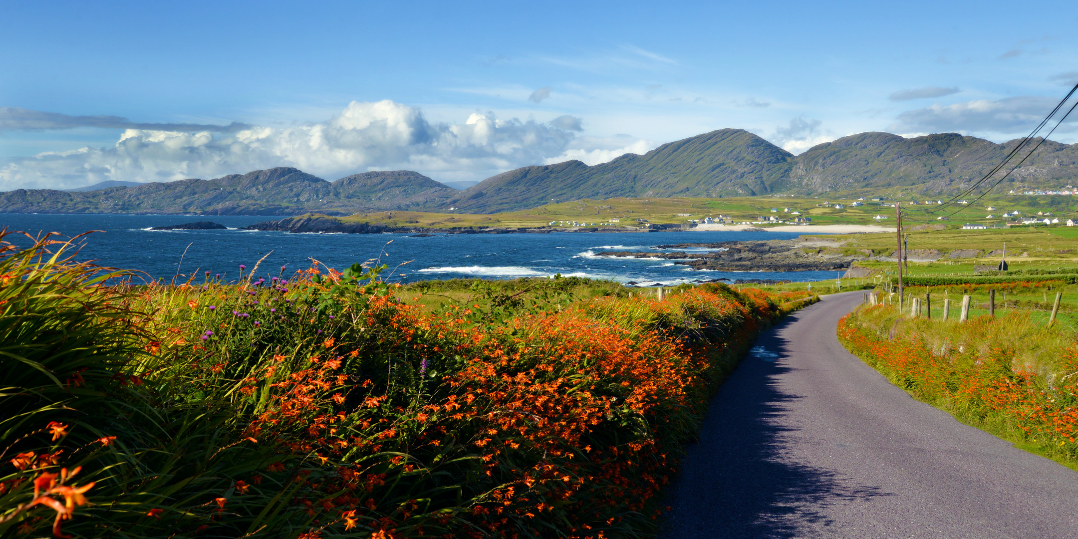 Ring of Beara