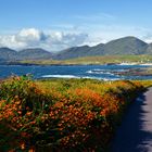 Ring of Beara