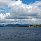 Ring of Beara