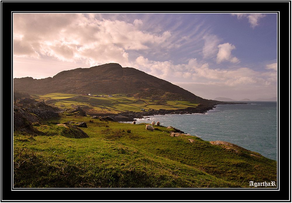 Ring of Beara&sunrise