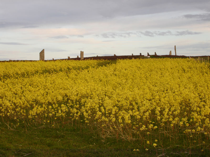 Ring of Brodgar