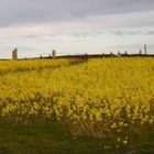 Ring of Brodgar