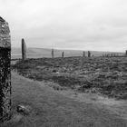 Ring of Brodgar/ Orkney - Schottland