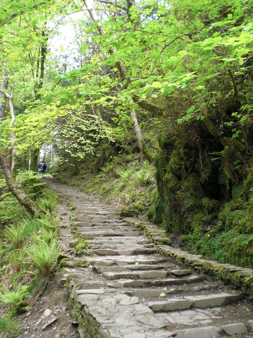 Ring of Kerry 01