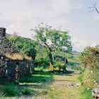 Ring of Kerry