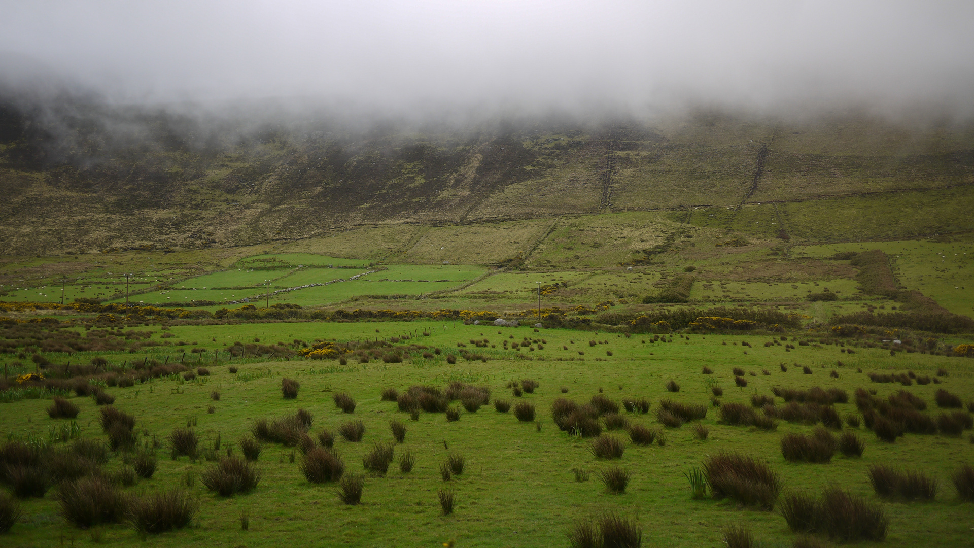 Ring of Kerry