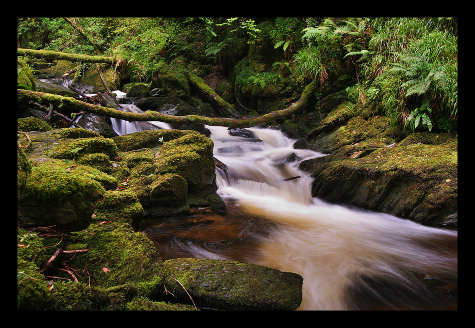 Ring of Kerry [DRI]