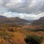 ~ Ring of Kerry ~