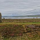 Ring von Brodgar