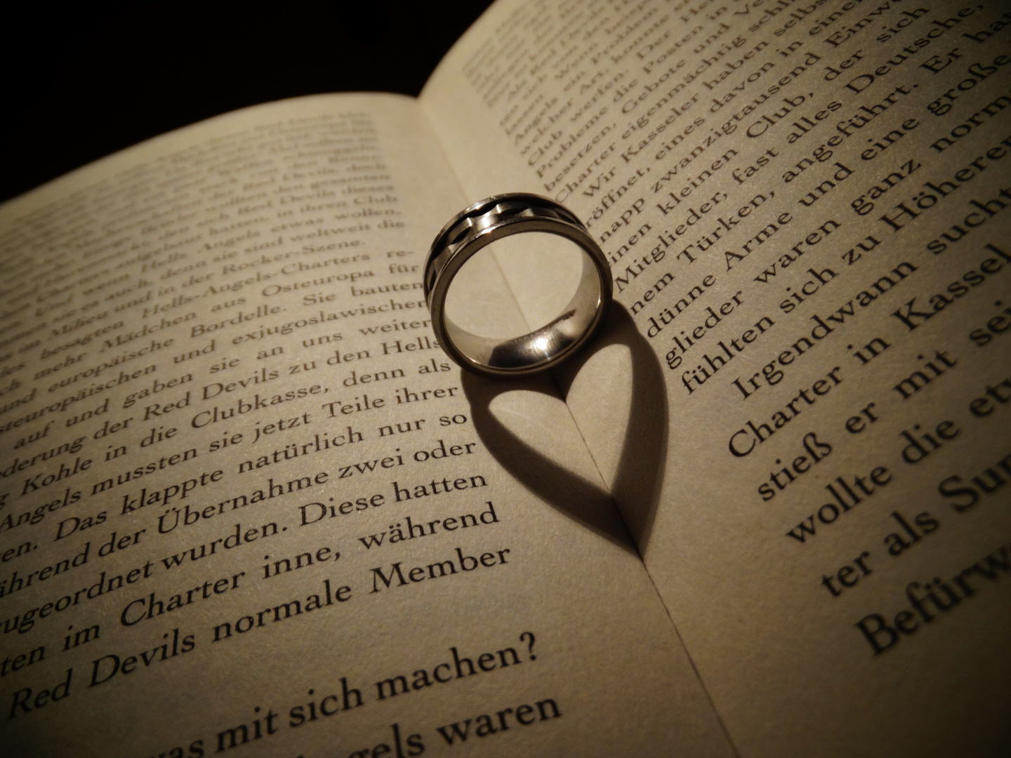 Ringbuch