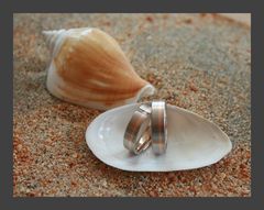 Ringe am Strand