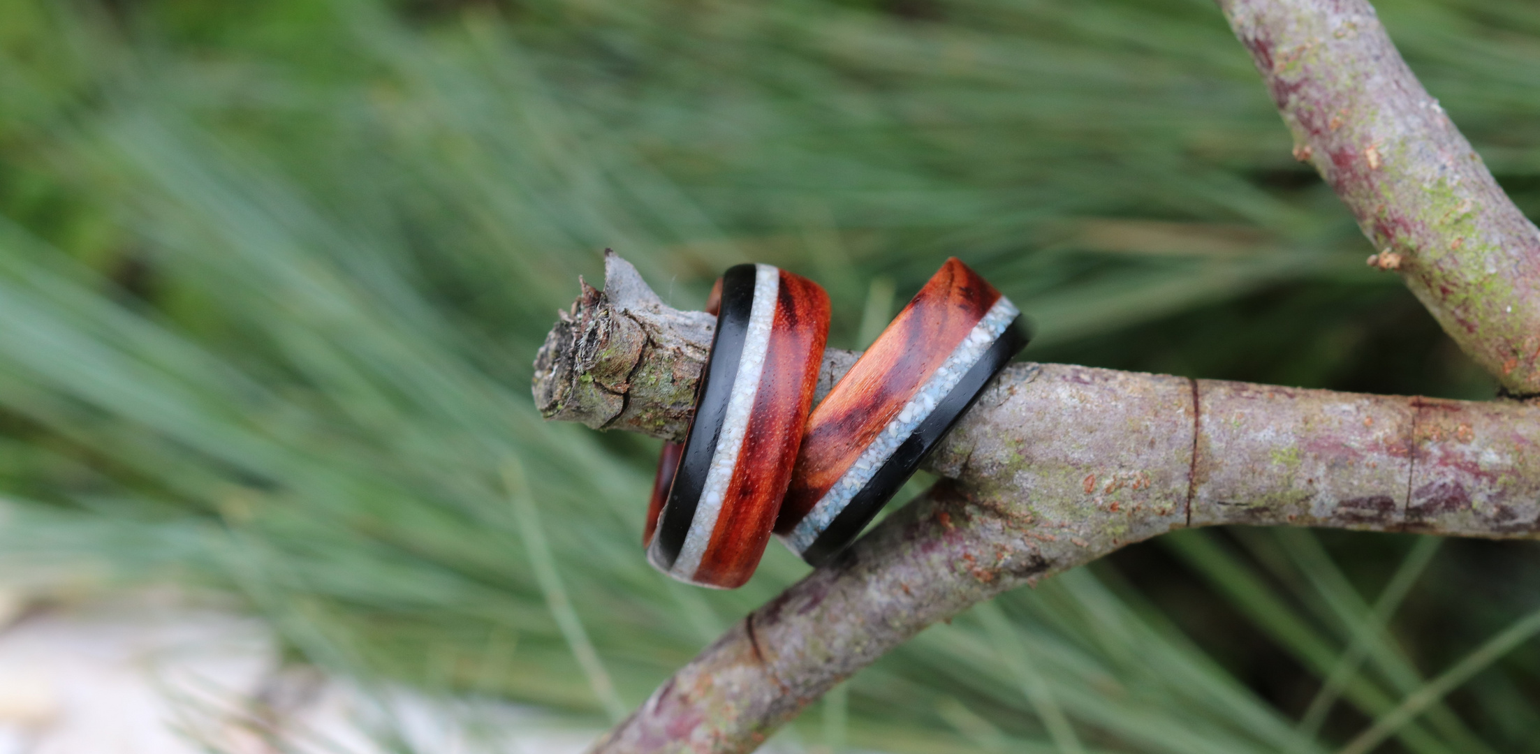 Ringe aus Ebenholz und Rosenholz mit Muschelkalk-Inlay