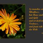 Ringelblume mit Spruch