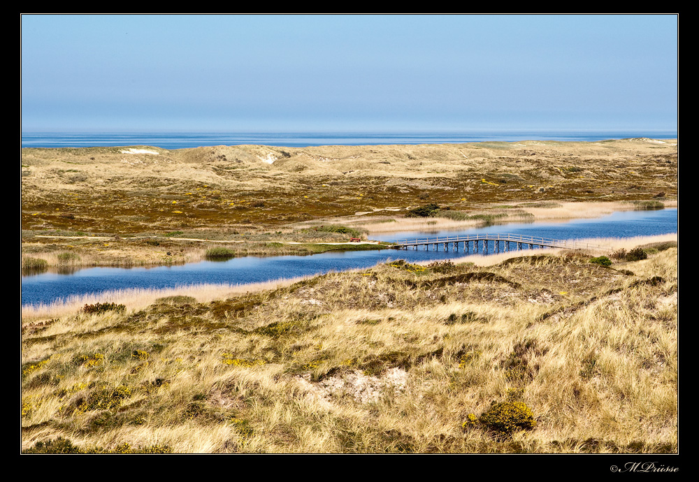 Ringkøbing Fjord....