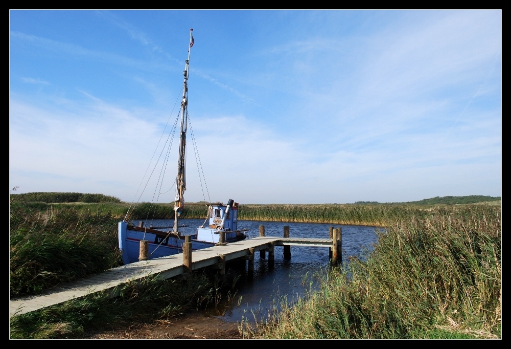 Ringkøbing Fjord (1)