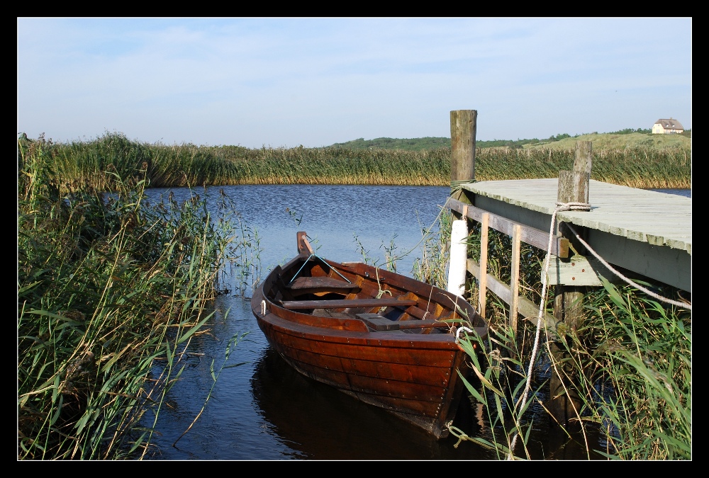 Ringkøbing Fjord (2)