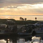 Ringkøbing Fjord 3