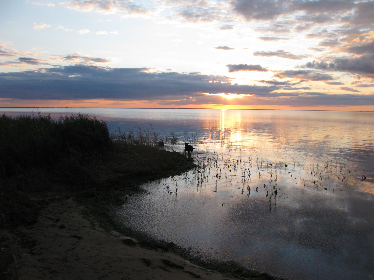 Ringkøbing Fjord 4