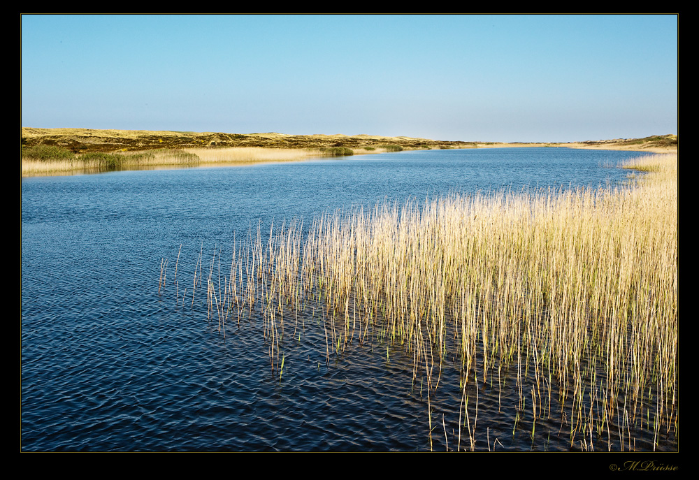 Ringkøbing Fjord...