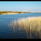 Ringkøbing Fjord...