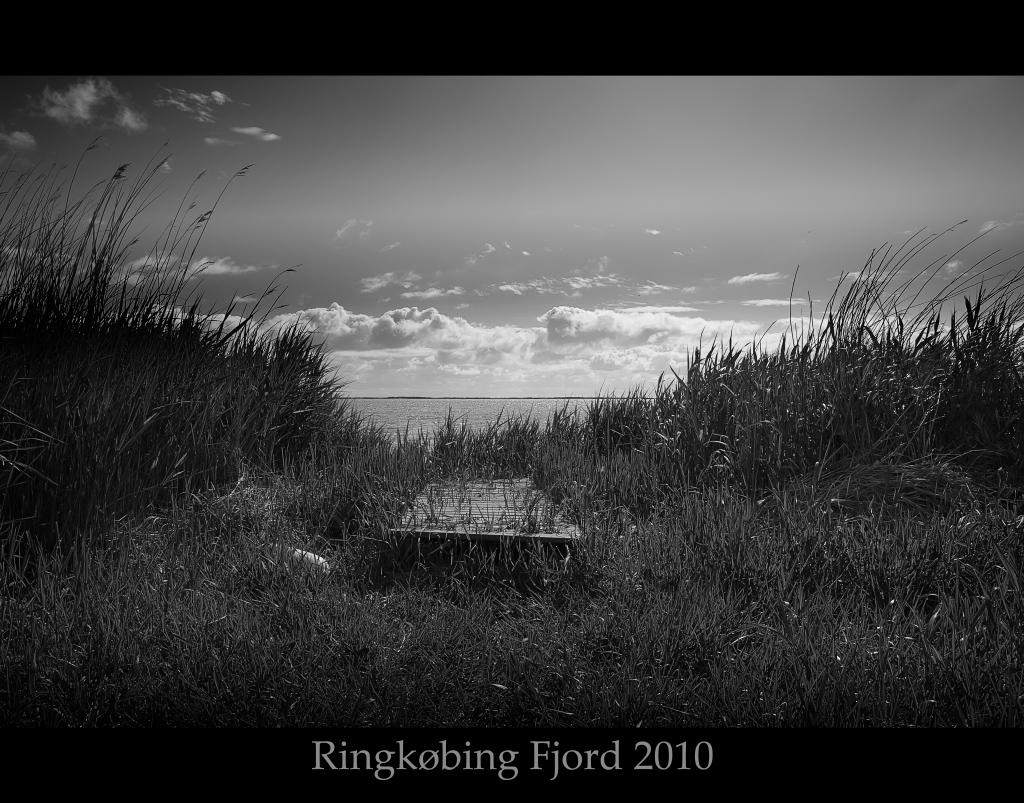 Ringkøbing Fjord