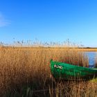 Ringkøbing Fjord bei Nymindegab 2017