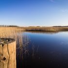 Ringkøbing Fjord bei Nymindegab