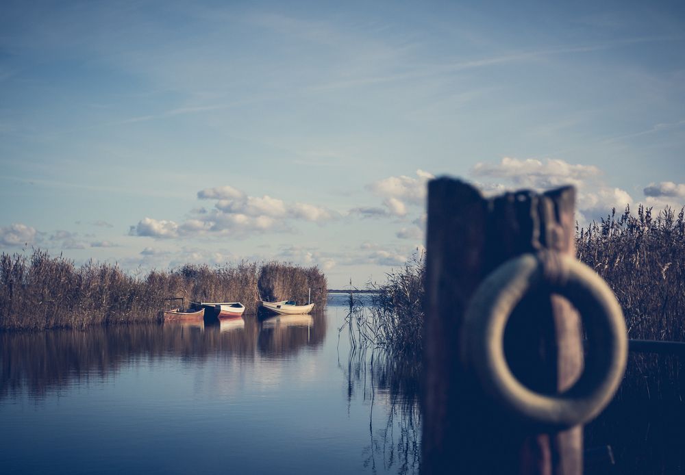 Ringkøbing Fjord, Dänemark