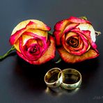 Rings and roses