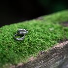 rings on green