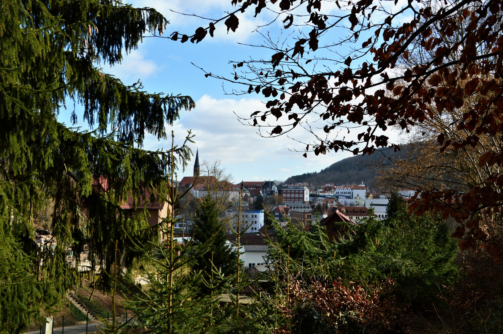 Rings um den Berg in Heilbad Heiligenstadt