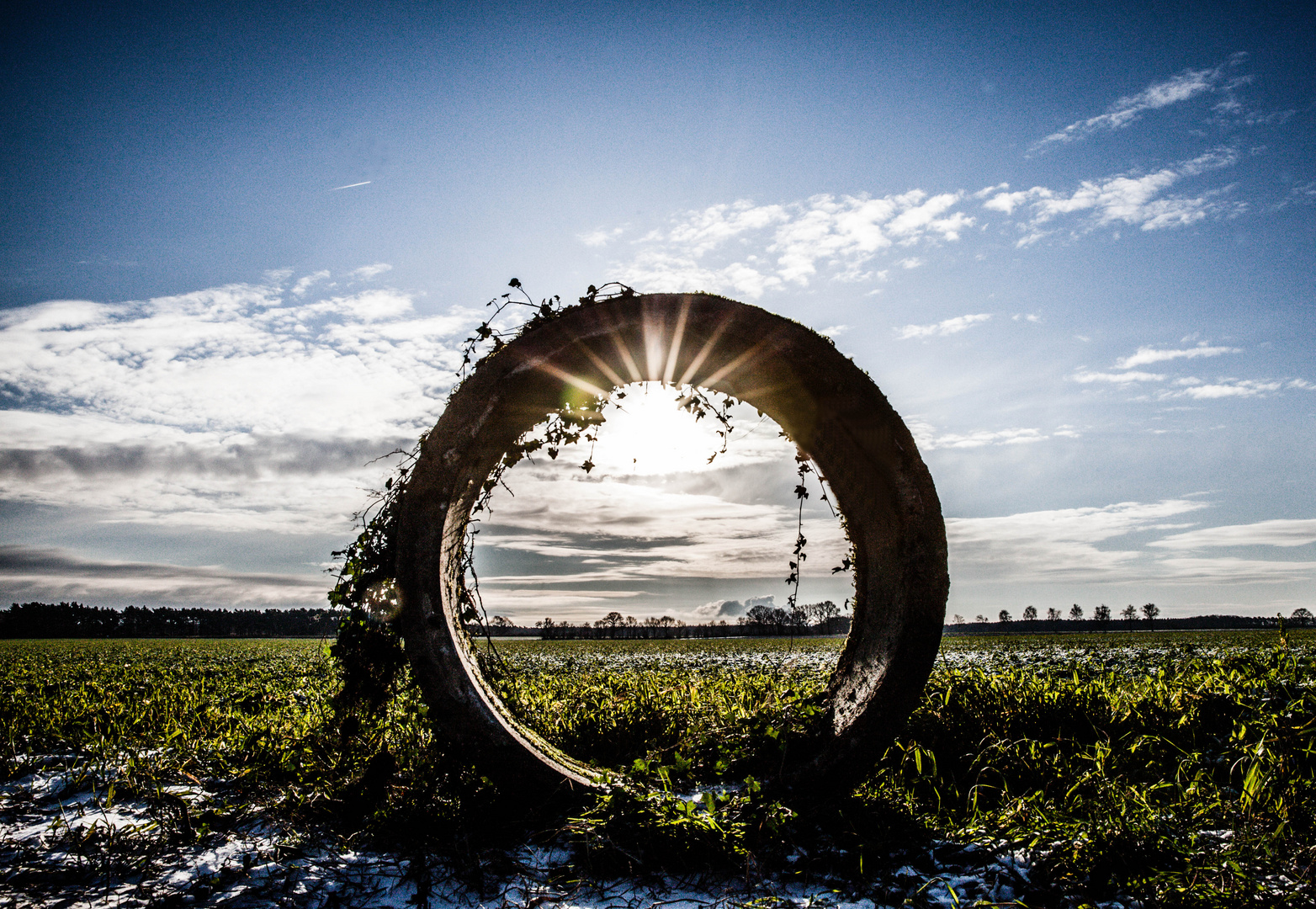 Ringsteine_in_Niedersachsen?