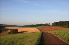 Ringsum Wälder