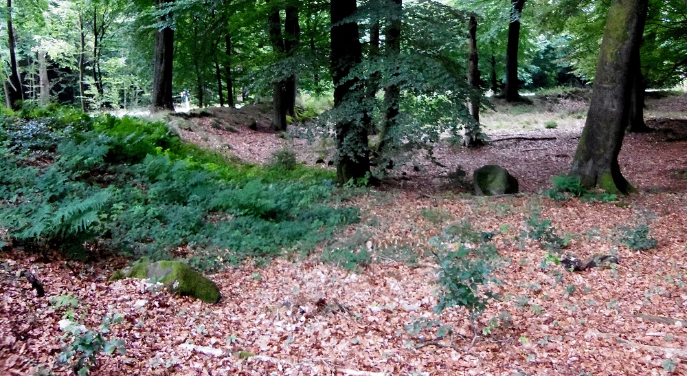 Ringwallanlage kleiner Hünenring  -  Bild II