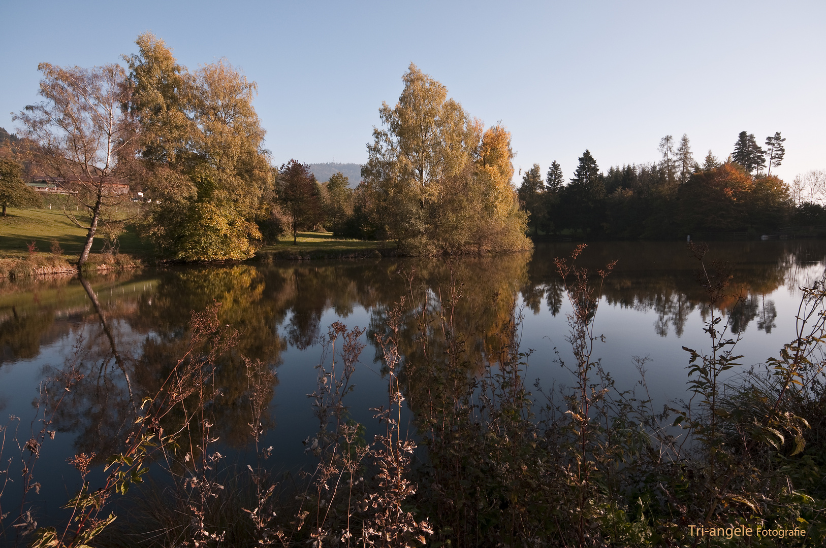 Ringwiler Weiher