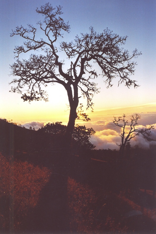 Rinjani auf Lombok