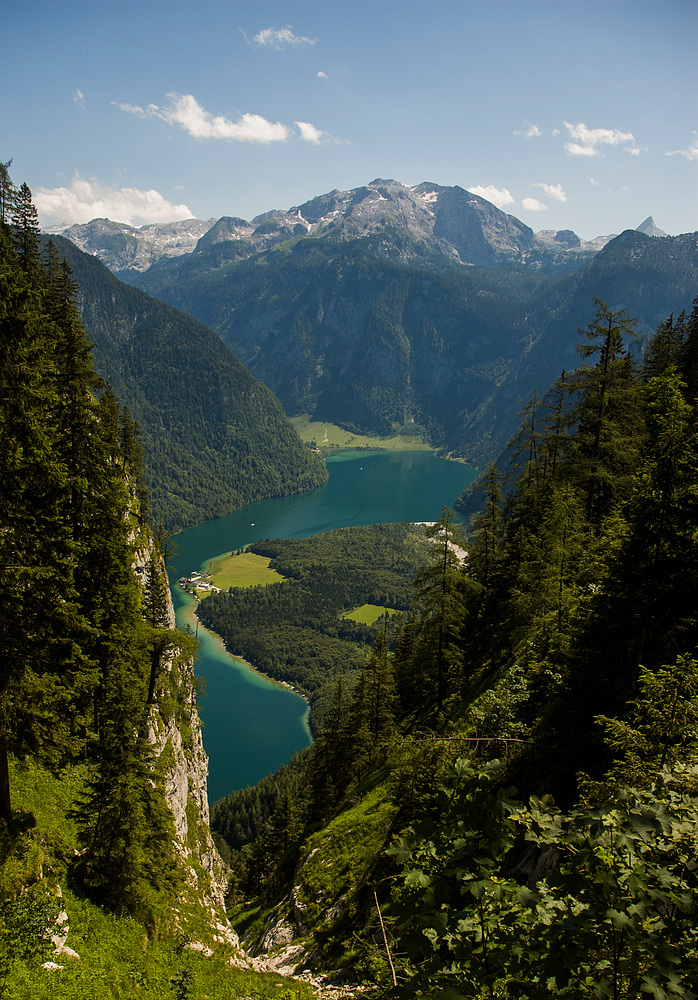 Rinnkendlsteig