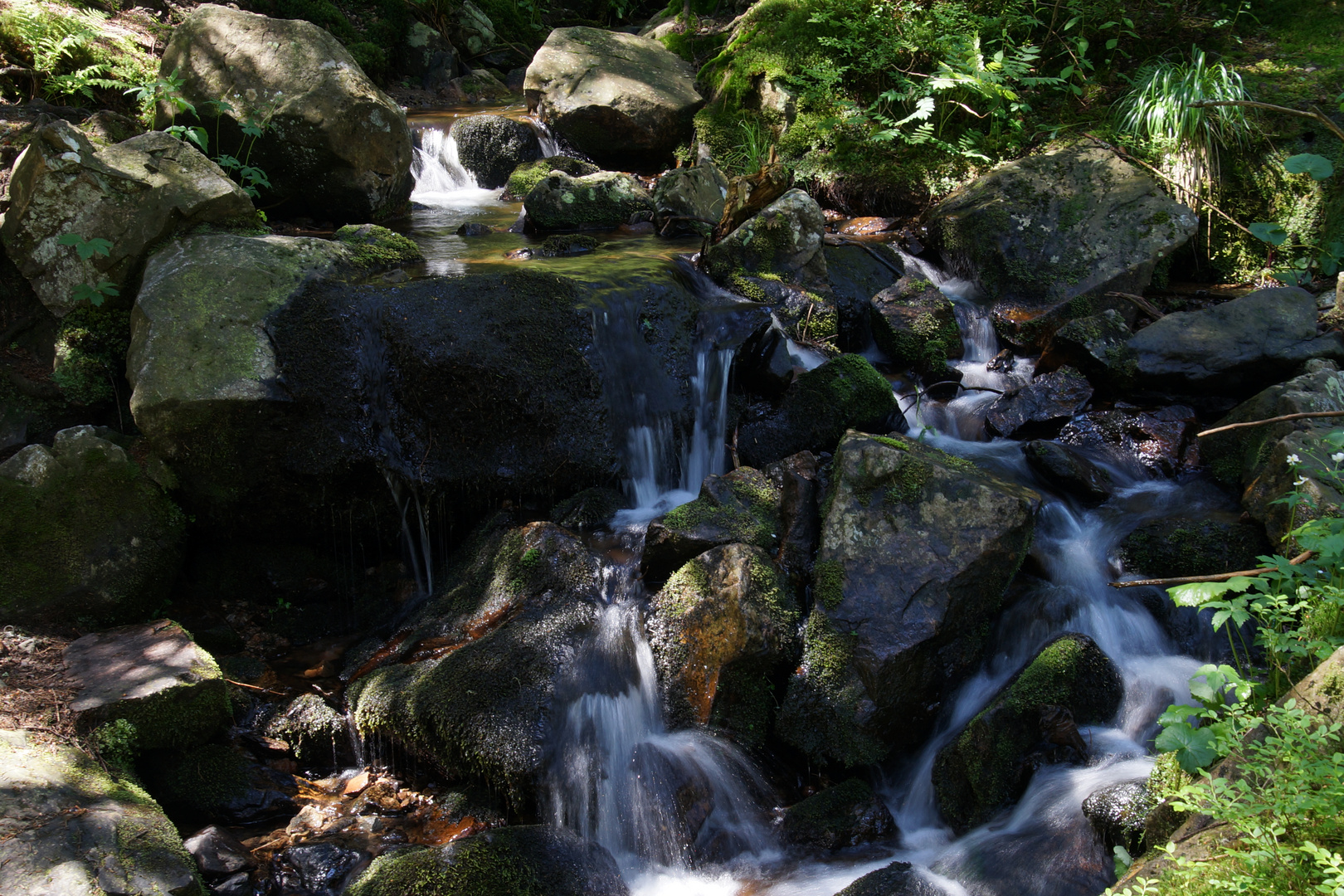 Rinnsal am Feldberg