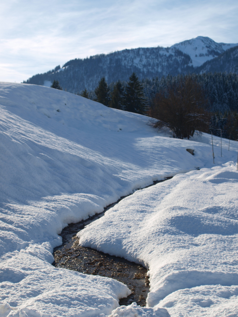 Rinnsal im Schnee