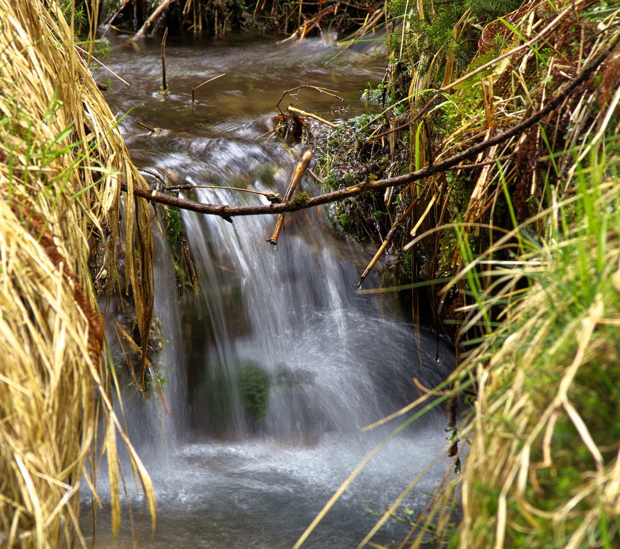 Rinnsalwasserfall 