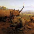 Rino Diorama