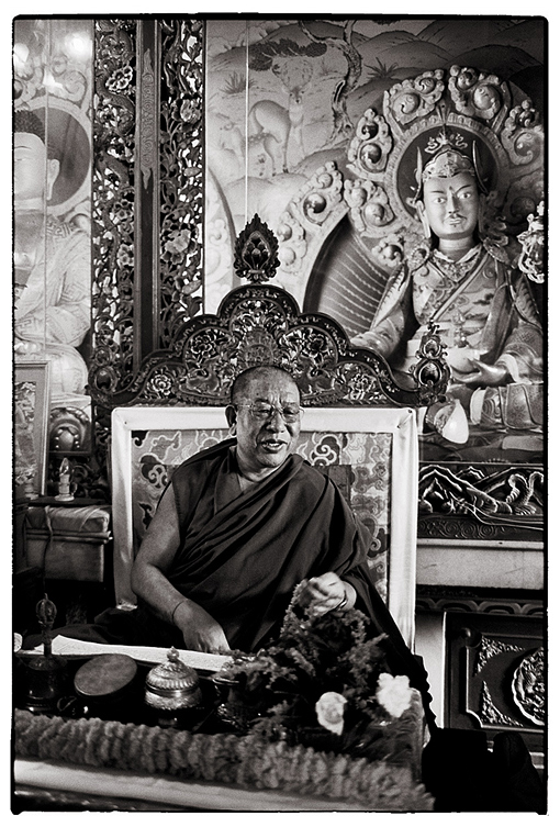 Rinpoche Shemrap
