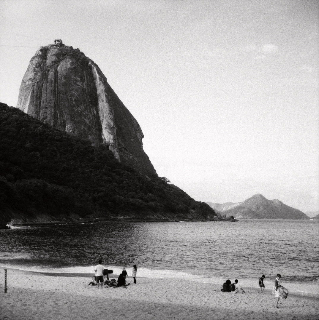 Rio #501